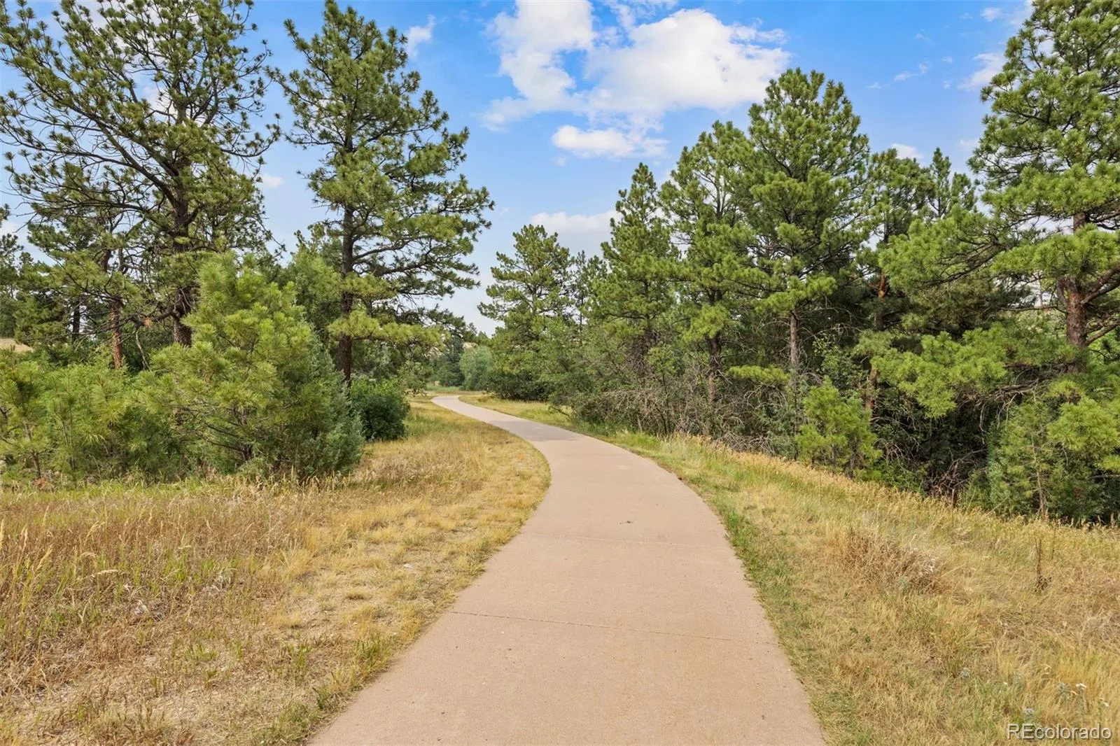 5850 Still Meadow Place Castle Rock CO 80104 | MLS #REC2320250 08062026160147 1600 19