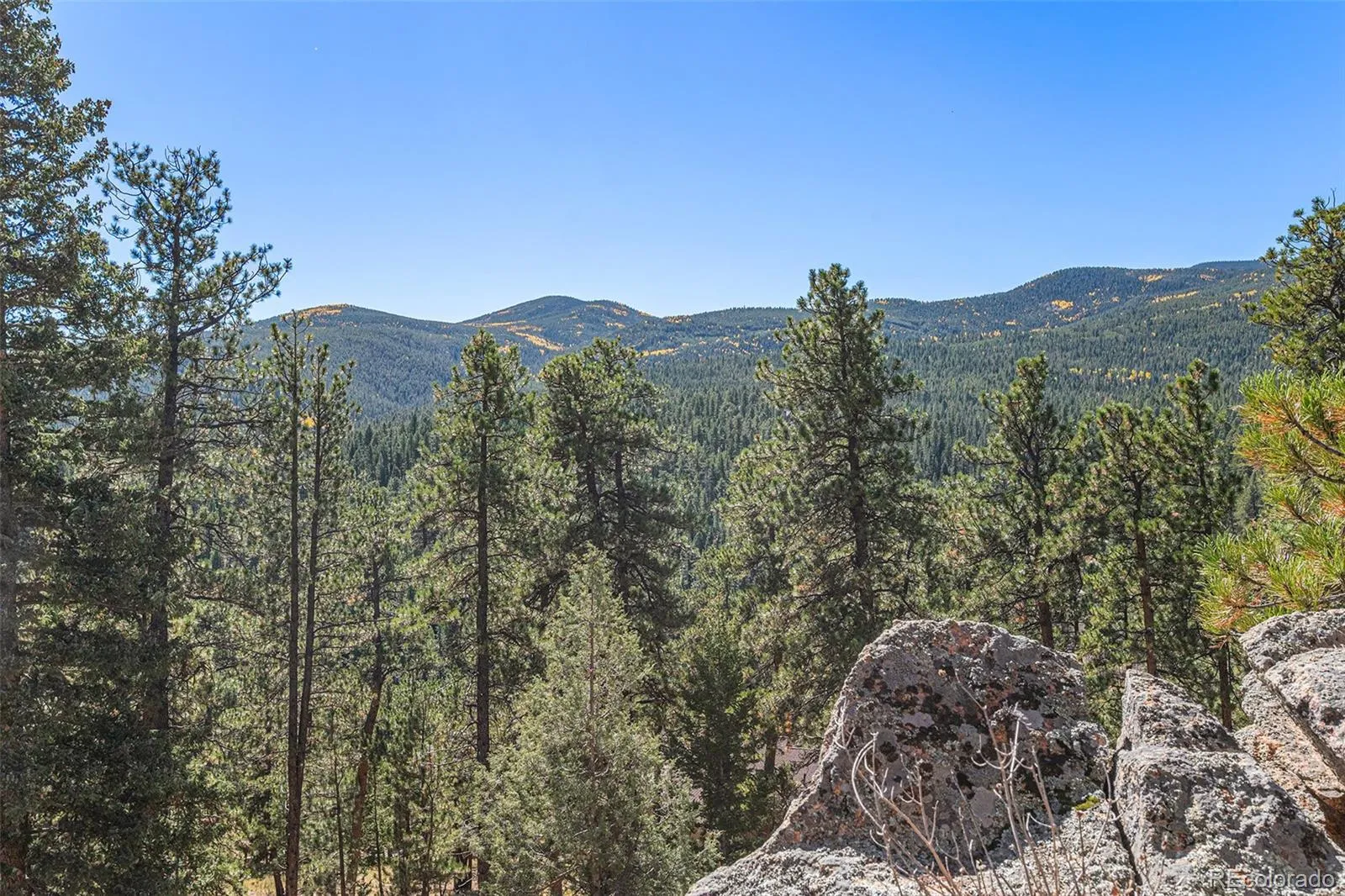 77 Gigi Lane Evergreen CO 80439 | MLS #REC2322852 05142026211019 1600 47