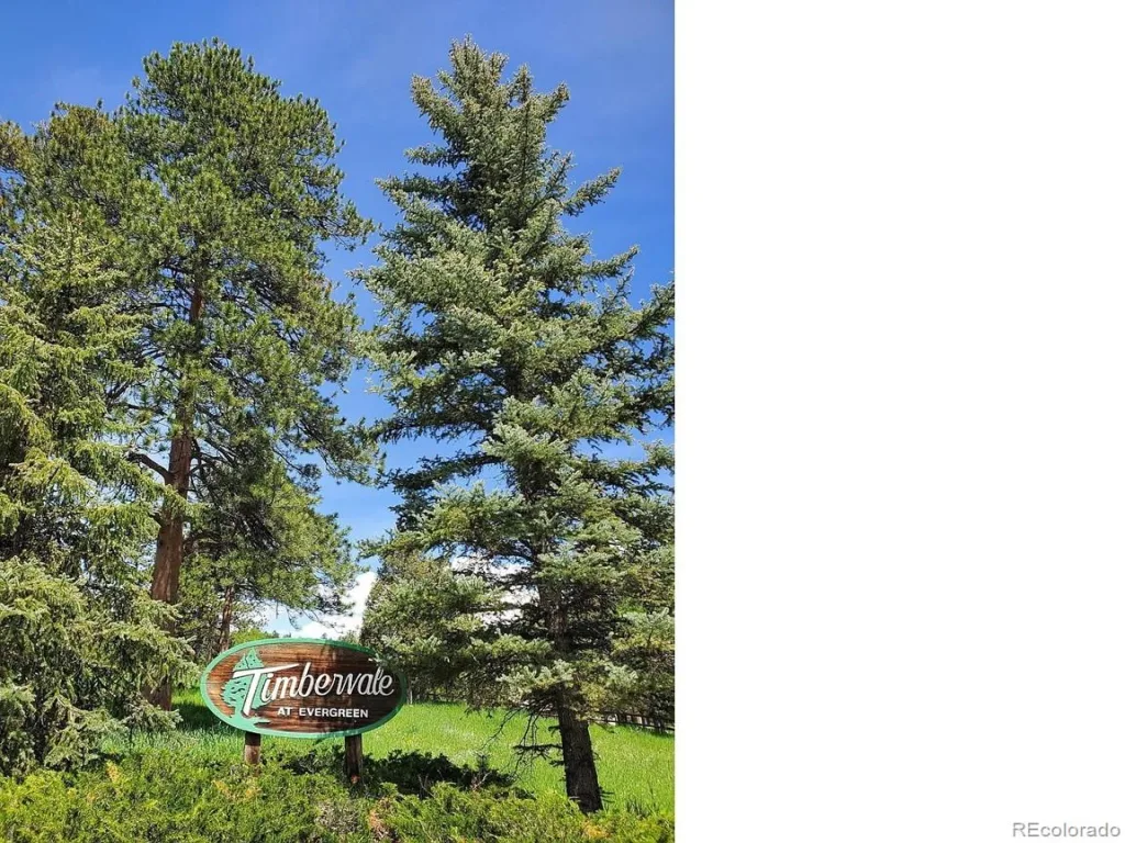 4148 Timbervale Drive Evergreen CO 80439 | MLS #REC2324633 06142026203802 1024 38