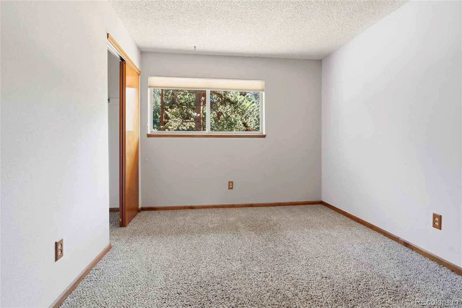 4148 Timbervale Drive Evergreen CO 80439 | MLS #REC2324633 06142026203802 1600 19