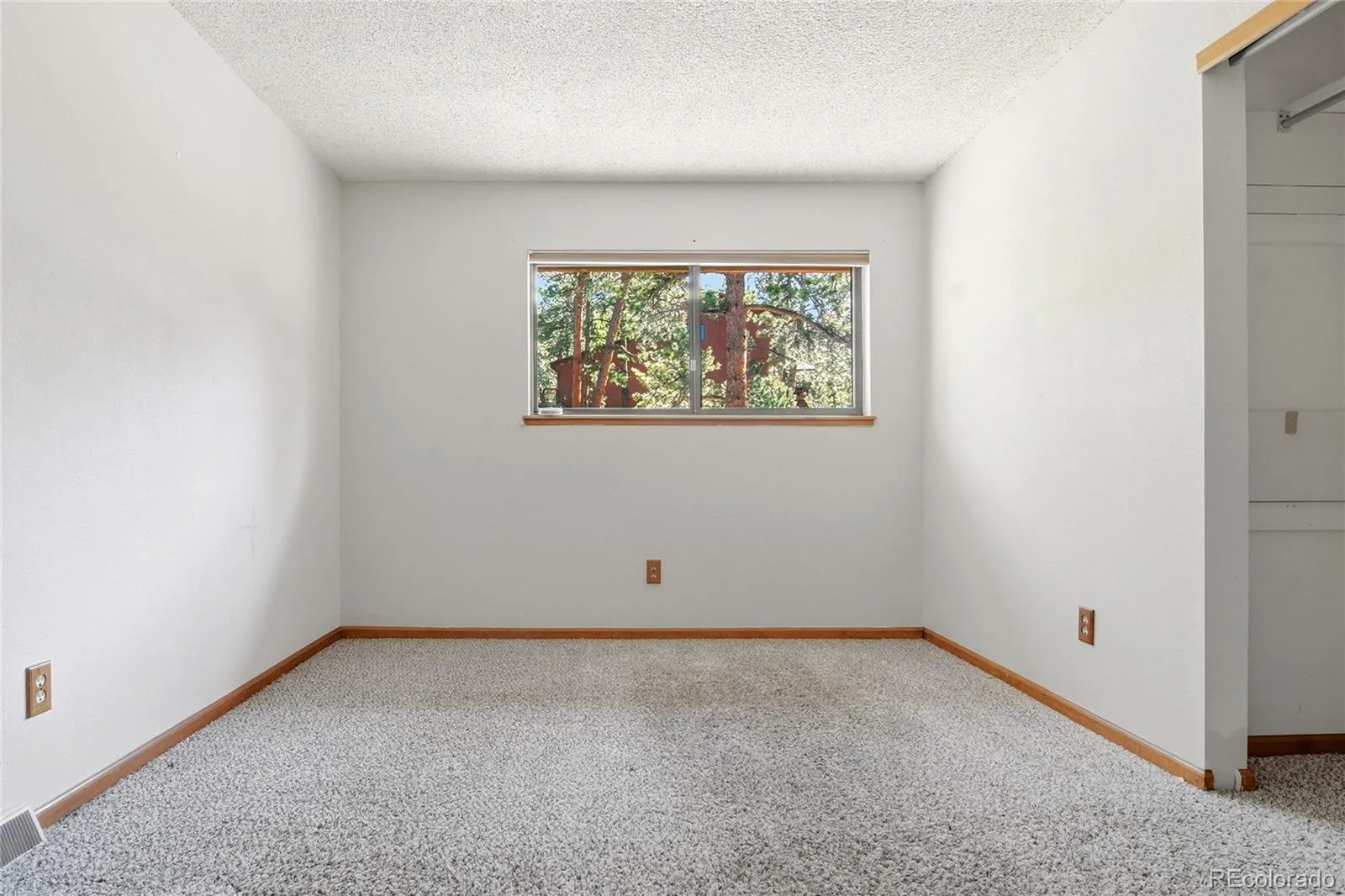 4148 Timbervale Drive Evergreen CO 80439 | MLS #REC2324633 06142026203802 1600 20