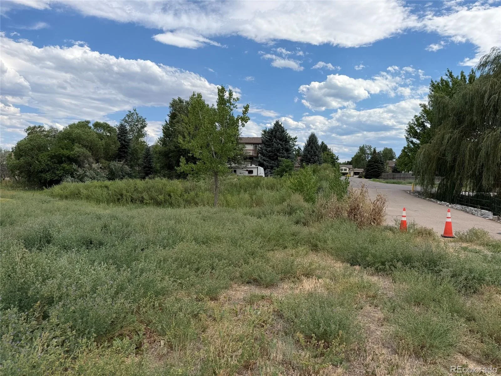 7826 S Field Street Littleton CO 80128 | MLS #REC2326514 07312026224945 1600 2