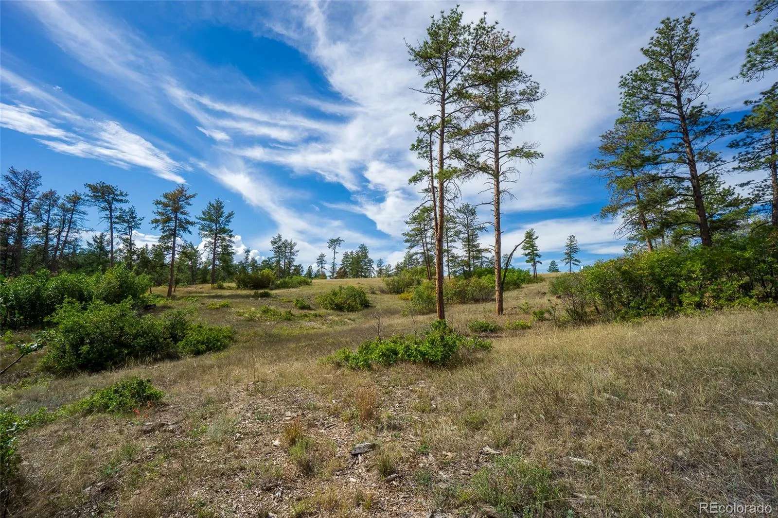 2367 Keep Drive Sedalia CO 80135 | MLS #REC2334475 05142026155051 1600 10