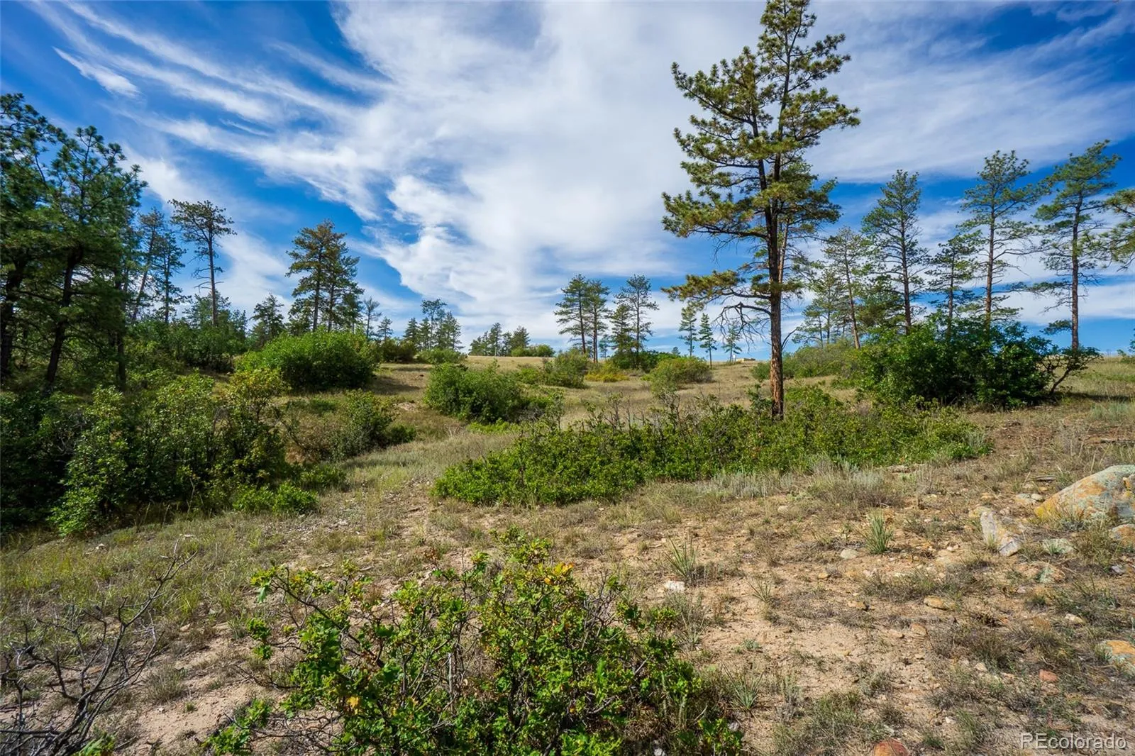 2367 Keep Drive Sedalia CO 80135 | MLS #REC2334475 05142026155051 1600 11