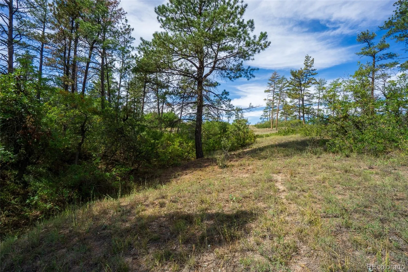 2367 Keep Drive Sedalia CO 80135 | MLS #REC2334475 05142026155051 1600 12