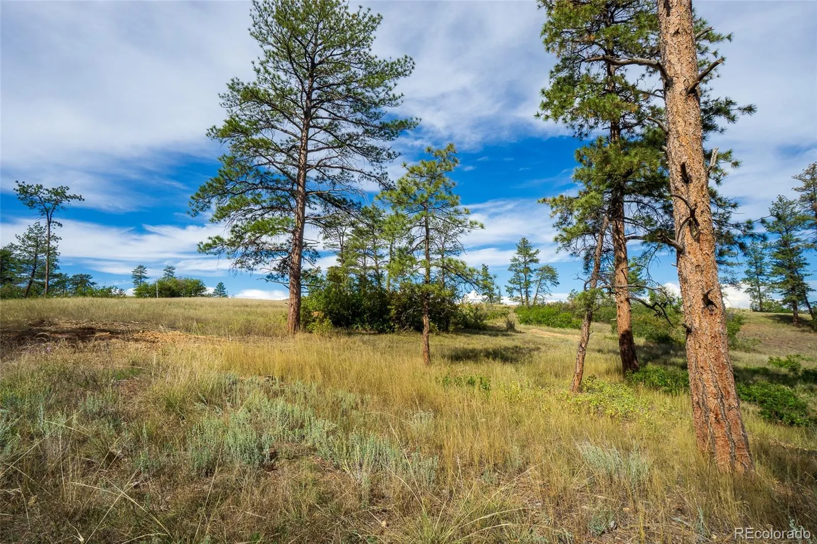 2367 Keep Drive Sedalia CO 80135 | MLS #REC2334475 05142026155051 1600 13