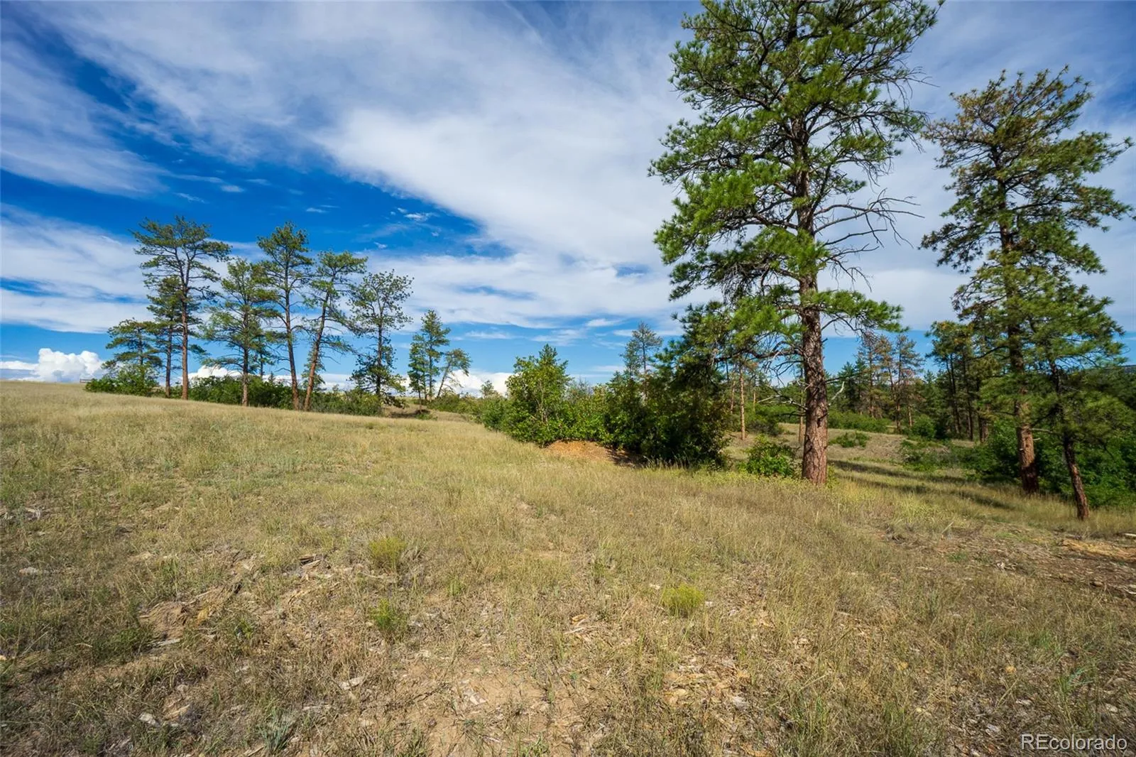 2367 Keep Drive Sedalia CO 80135 | MLS #REC2334475 05142026155051 1600 14