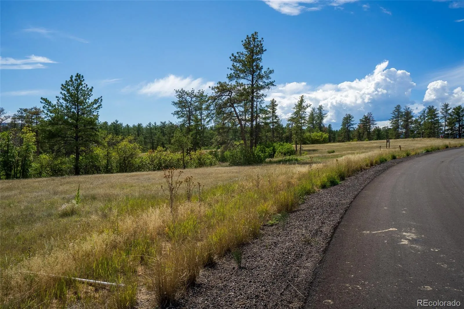 2367 Keep Drive Sedalia CO 80135 | MLS #REC2334475 05142026155051 1600 16