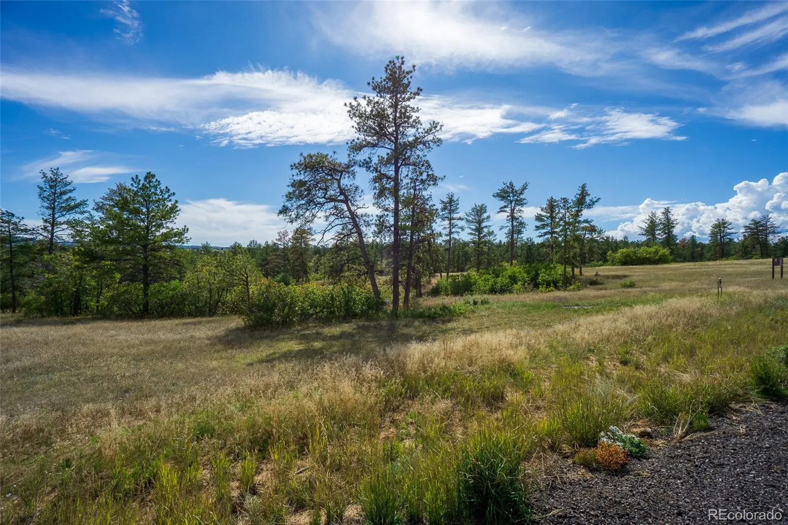 2367 Keep Drive Sedalia CO 80135 | MLS #REC2334475 05142026155051 1600 8