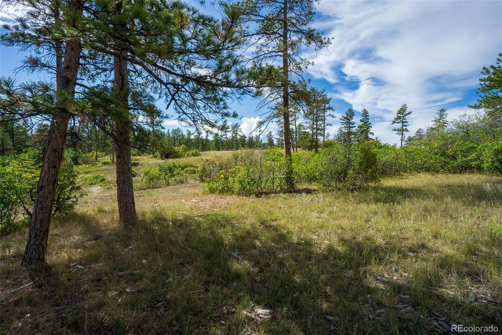 2367 Keep Drive Sedalia CO 80135 | MLS #REC2334475 05142026155051 1600 9