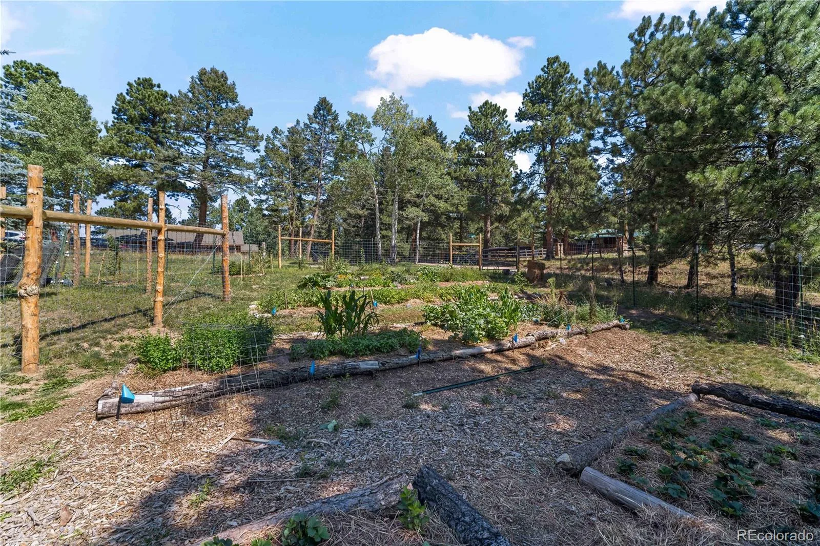 28894 Corkwood Lane Evergreen CO 80439 | MLS #REC2344383 08062026215206 1600 39