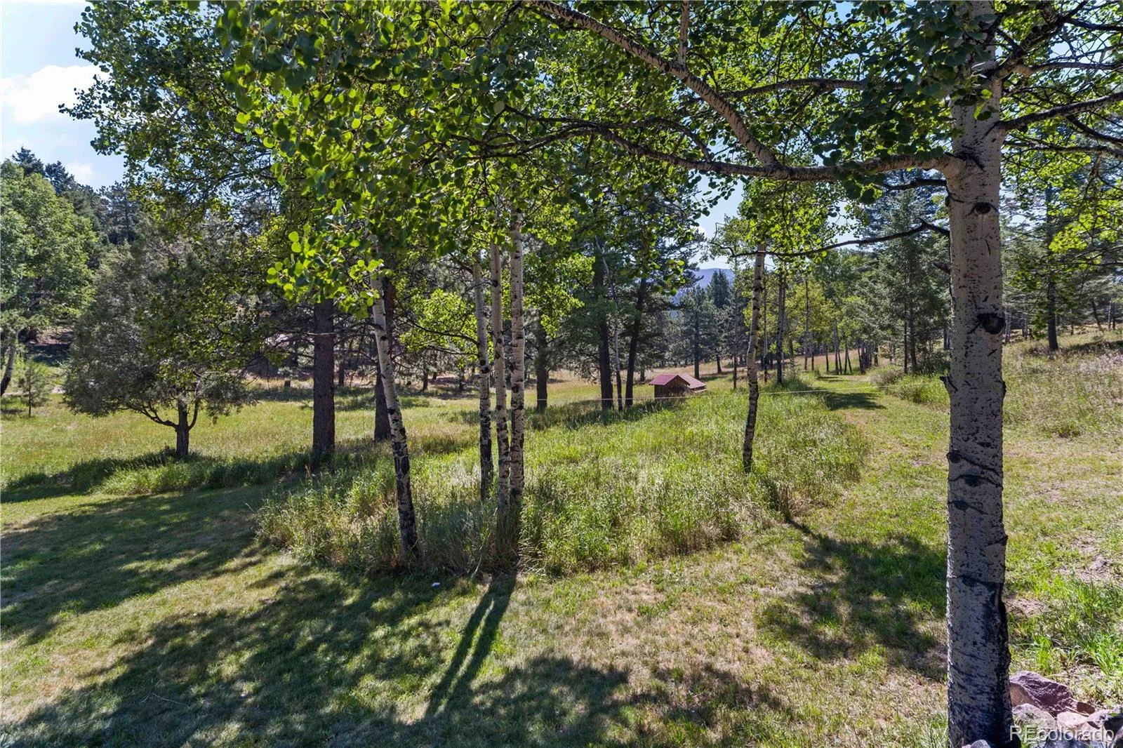 28894 Corkwood Lane Evergreen CO 80439 | MLS #REC2344383 08062026215206 1600 40