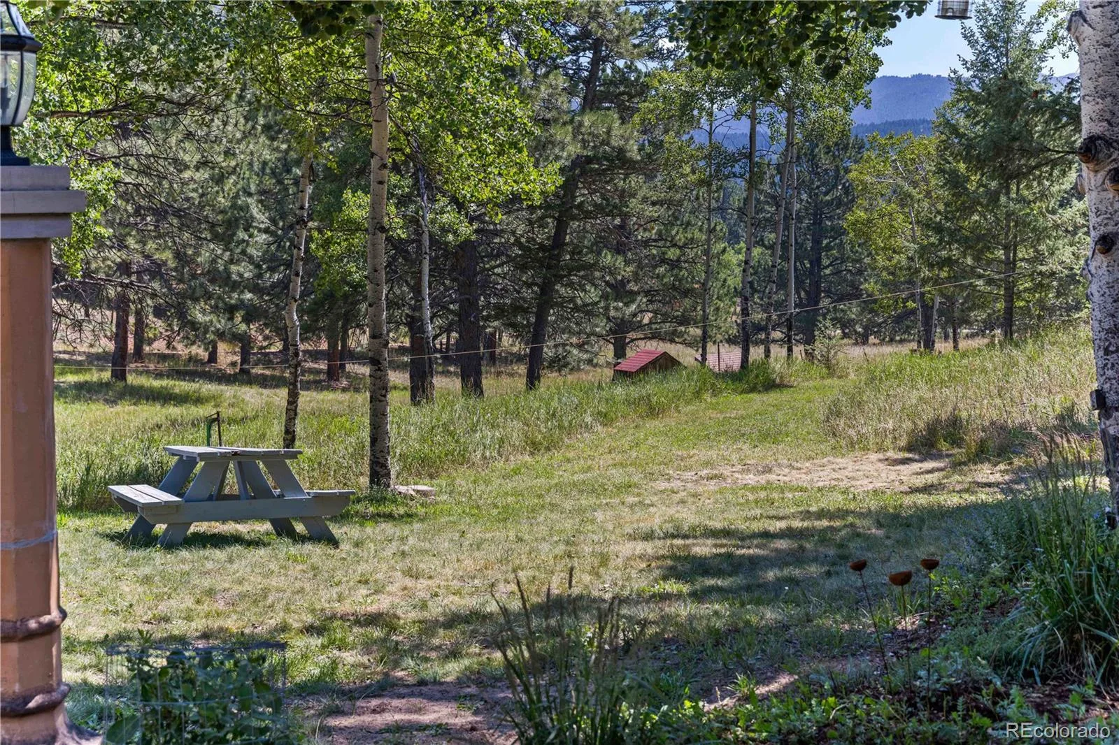 28894 Corkwood Lane Evergreen CO 80439 | MLS #REC2344383 08062026215206 1600 41