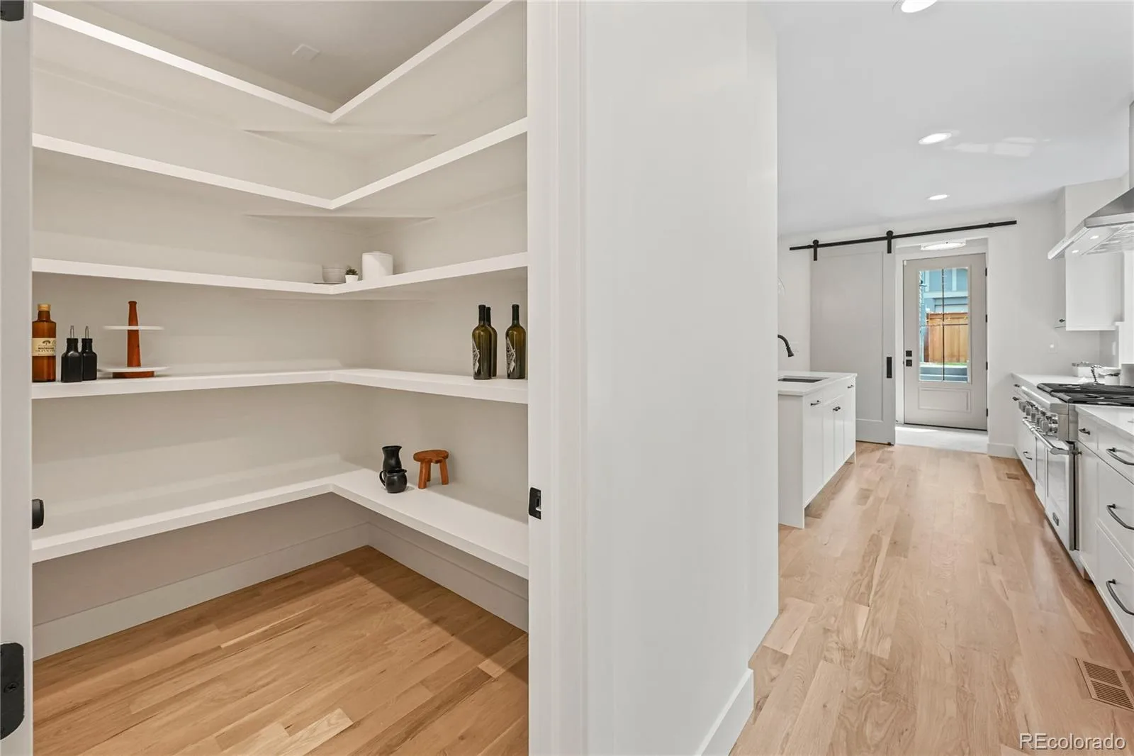1060 S Ogden Street Denver CO 80209 MLS #REC2347005 06092026024351 1600 7