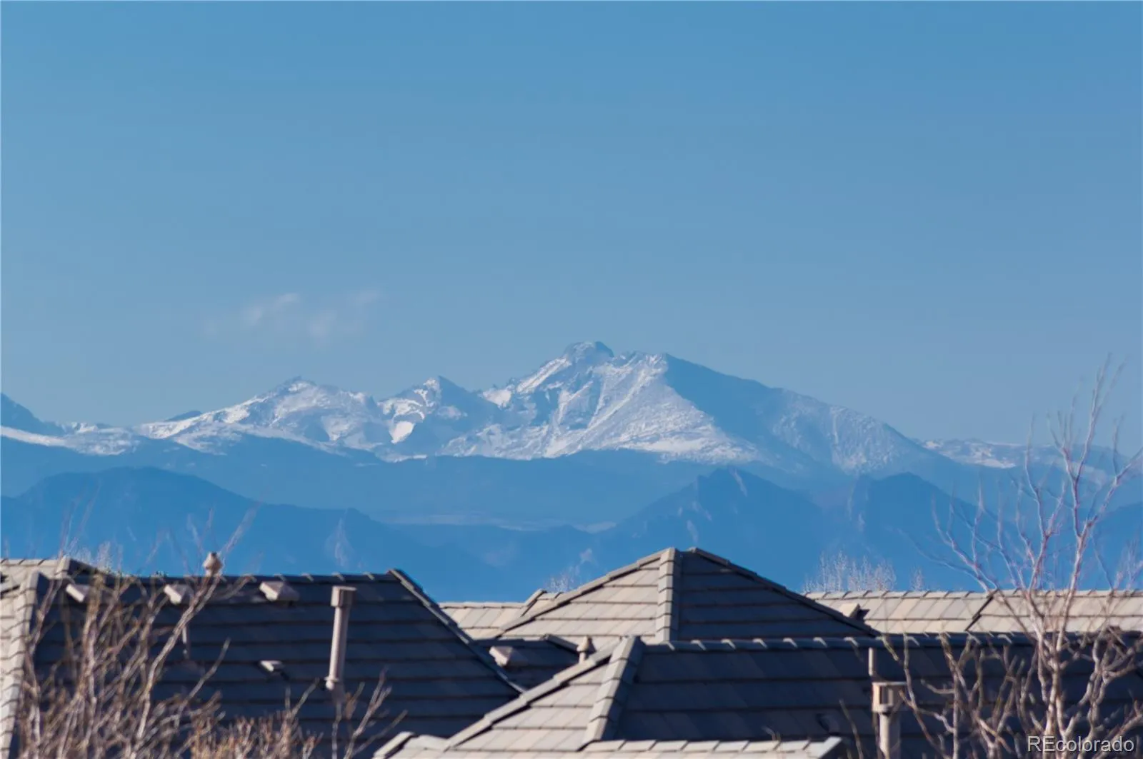 04142026140456 1600 1