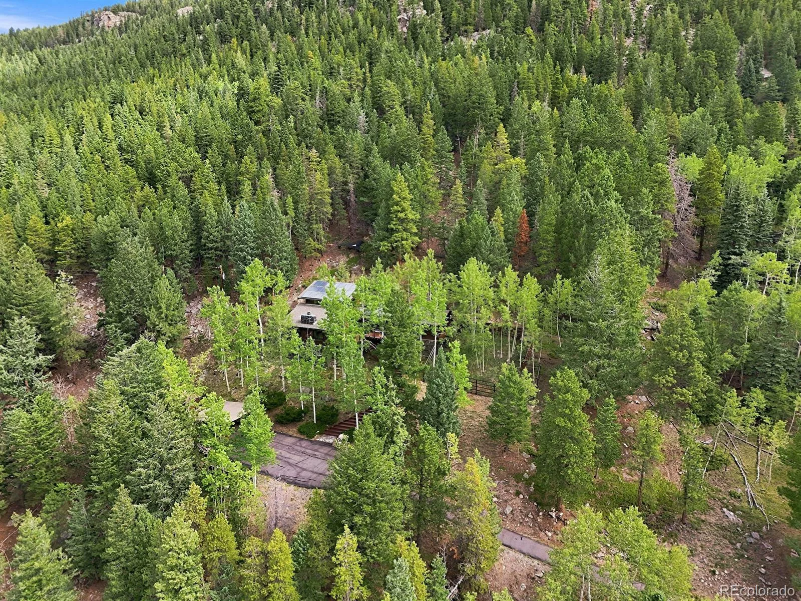 3742 Witter Gulch Road Evergreen CO 80439 | MLS #REC2360658 08272026220525 1600 31
