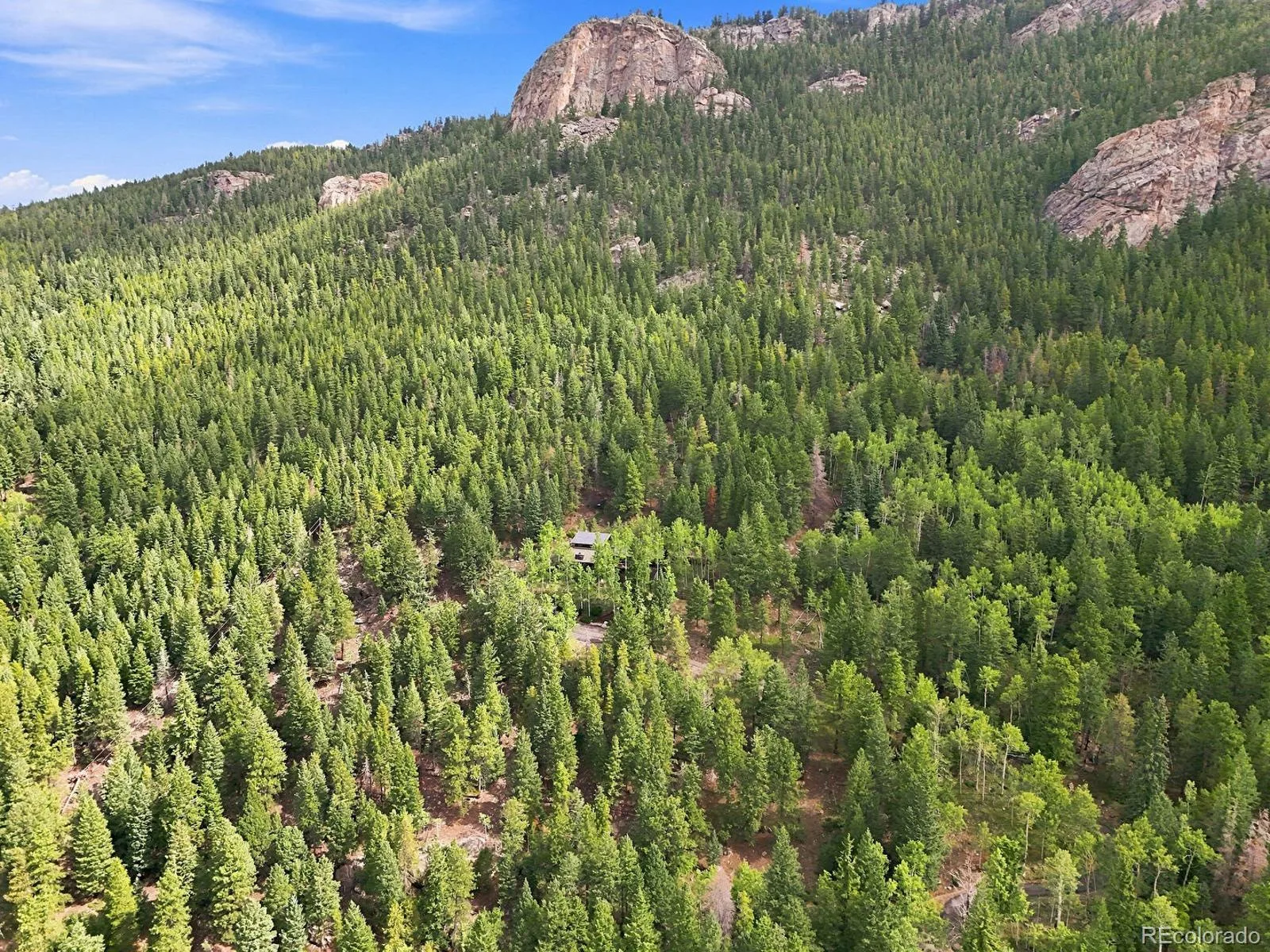 3742 Witter Gulch Road Evergreen CO 80439 | MLS #REC2360658 08272026220525 1600 32