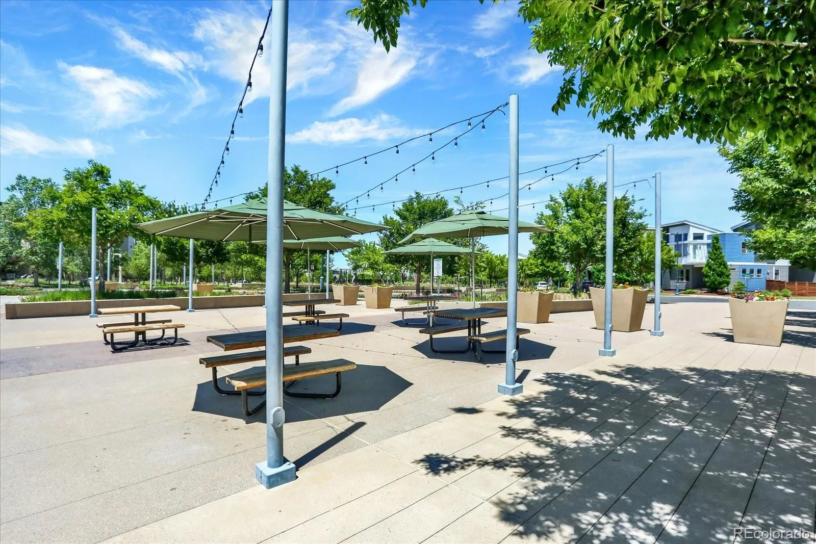 4920 Valentia Street Denver CO 80238 | MLS #REC2361788 08192026195817 1600 15