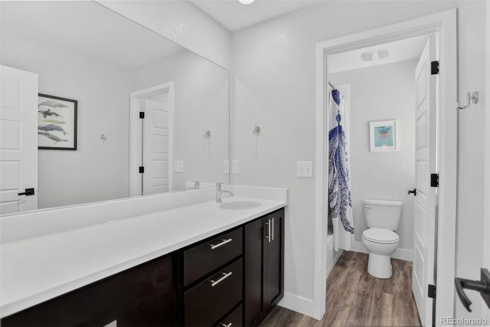 4439 Mt Shavano Street Brighton CO 80601 | MLS #REC2368632 06122026080807 1600 24