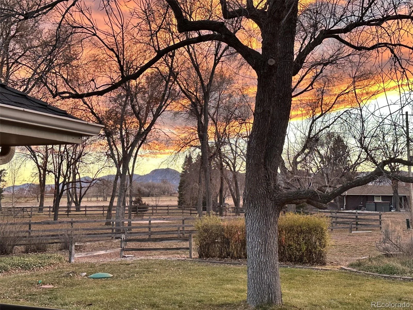 6048 Dhu Court Longmont CO 80503 | MLS #REC2369437 08272026171914 1600 35
