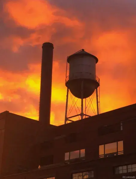 11182025192656 800 42