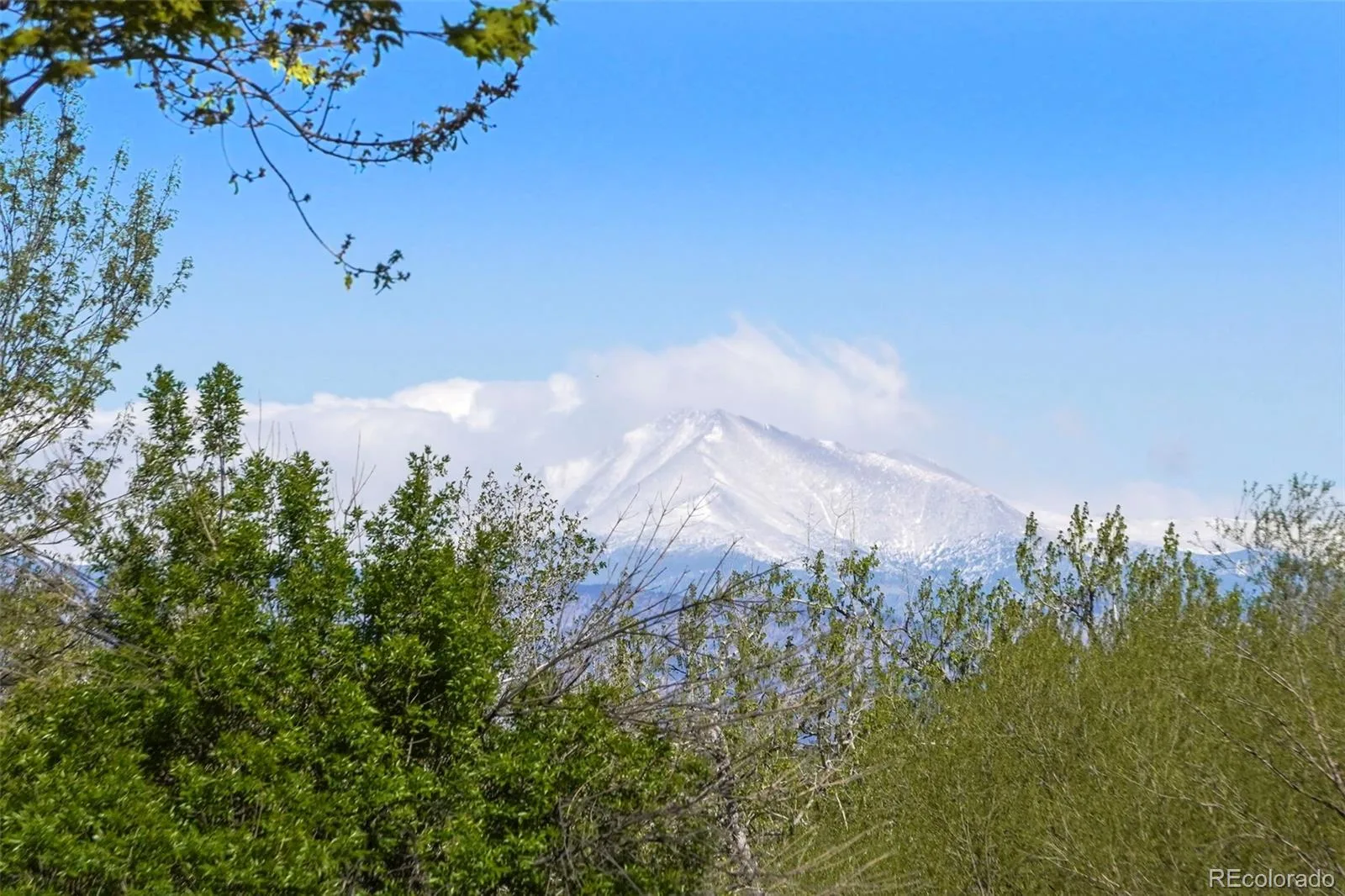 10930 Tennyson Court Westminster CO 80031 | MLS #REC2376285 08242026175404 1600 20
