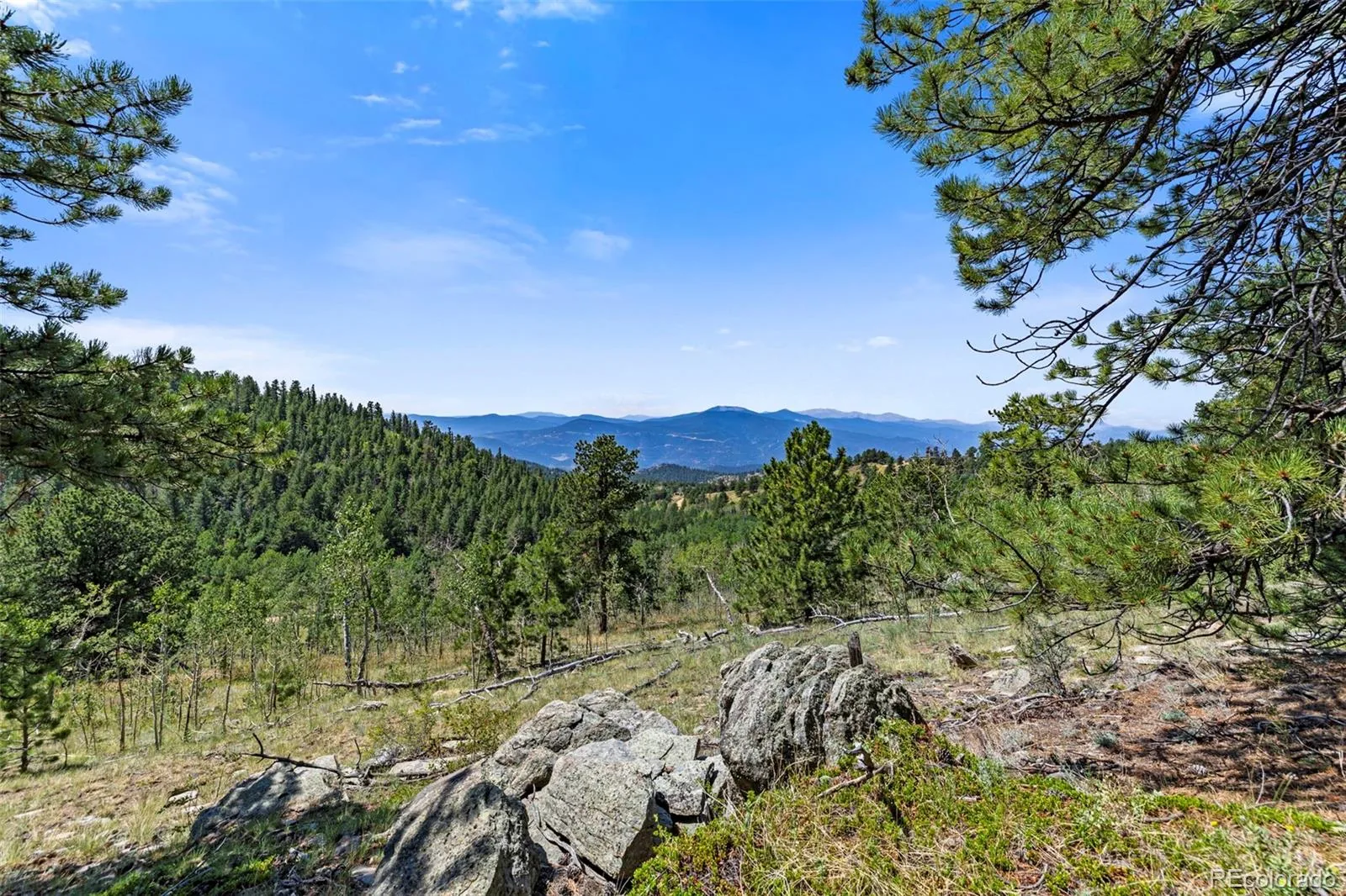 3 Red Tail Ranch Golden CO 80403 | MLS #REC2379893 08062026133722 1600 1