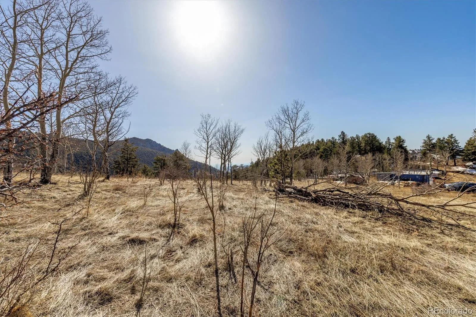 3 Red Tail Ranch Golden CO 80403 | MLS #REC2379893 08062026133722 1600 3