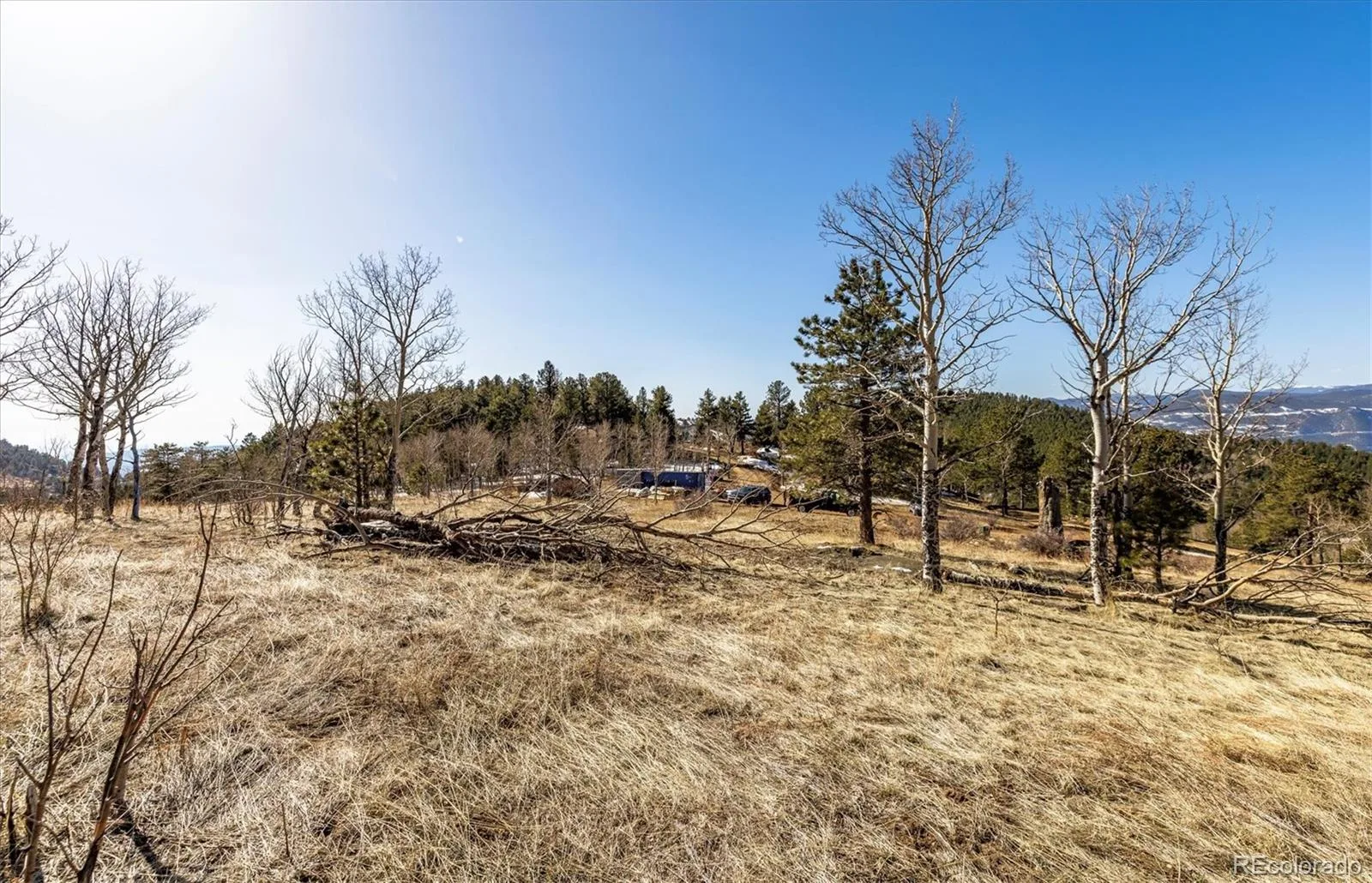 3 Red Tail Ranch Golden CO 80403 | MLS #REC2379893 08062026133722 1600 4