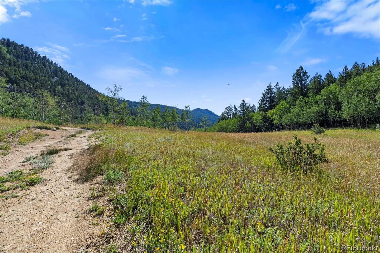3 Red Tail Ranch Golden CO 80403 | MLS #REC2379893 08062026133722 1600 8