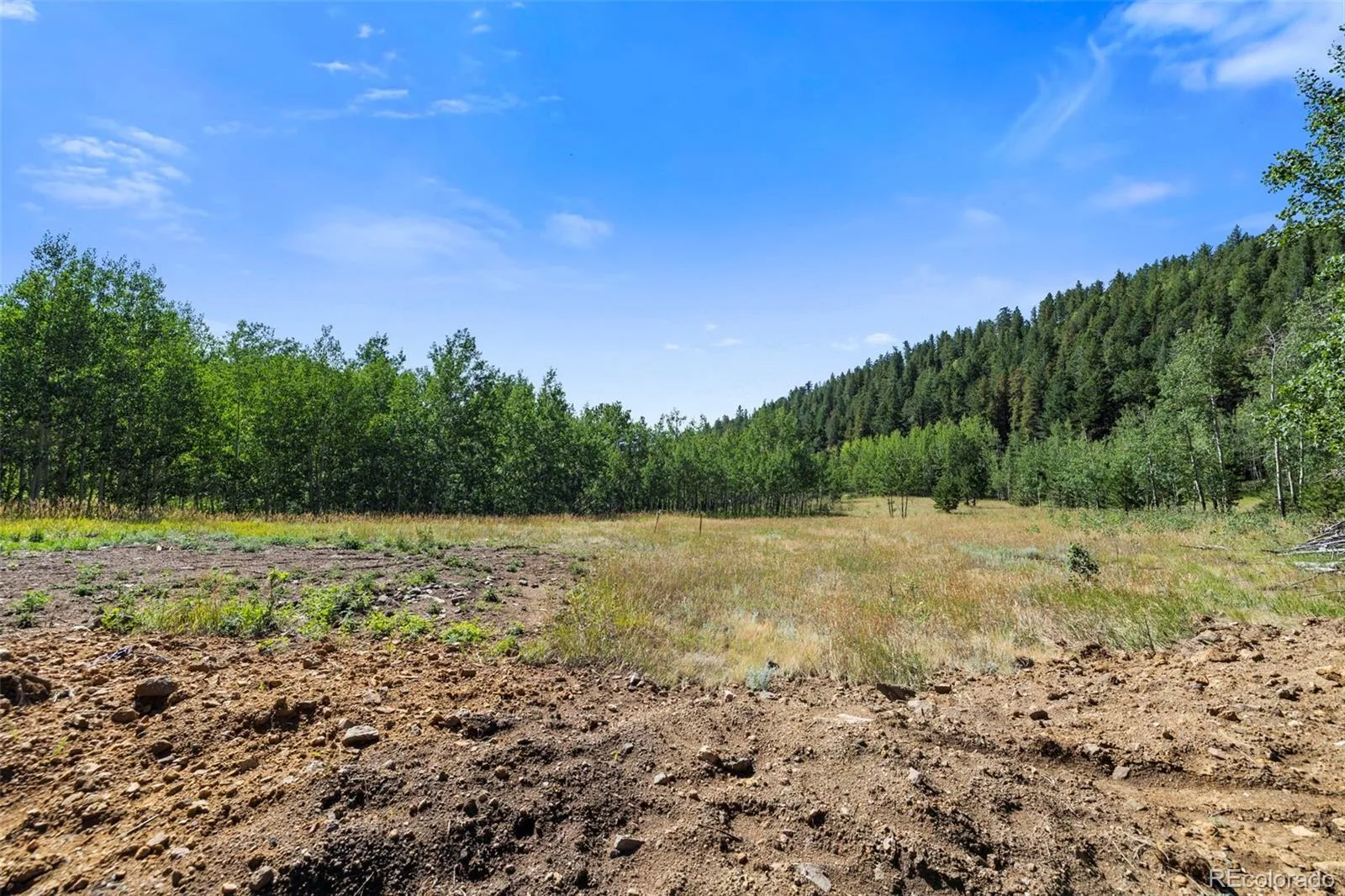 3 Red Tail Ranch Golden CO 80403 | MLS #REC2379893 08062026133722 1600 9