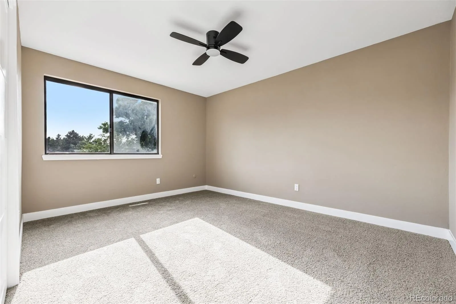 7351 S Marion Street Centennial CO 80122 MLS #REC2381377 06102026044240 1600 27