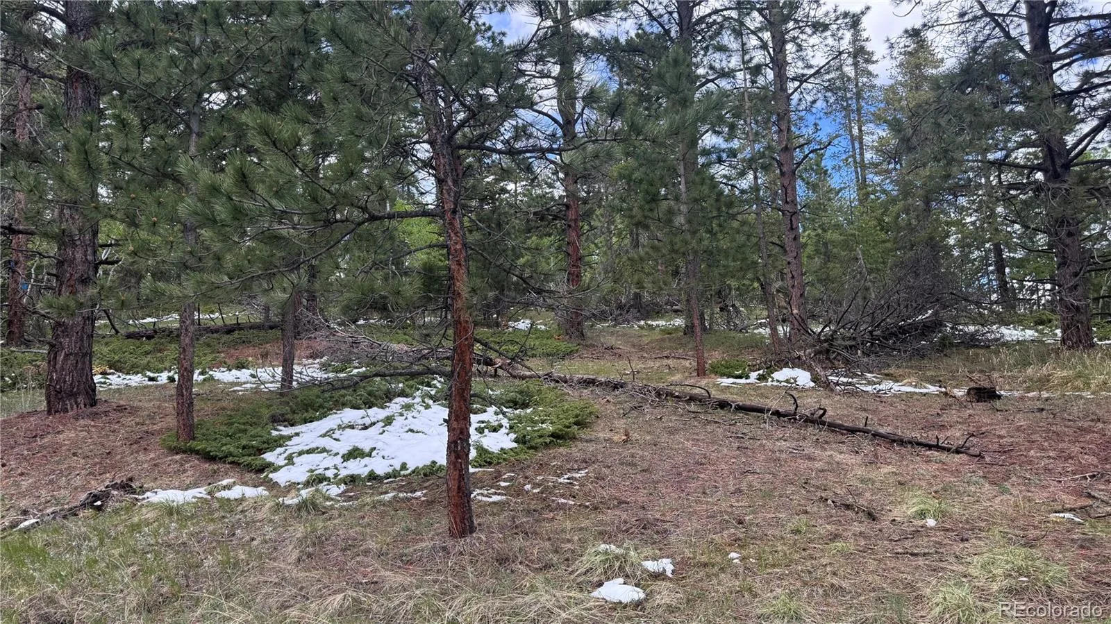 717 Crescent Lake Road Golden CO 80403 | MLS #REC2393807 06032026221712 1600 10