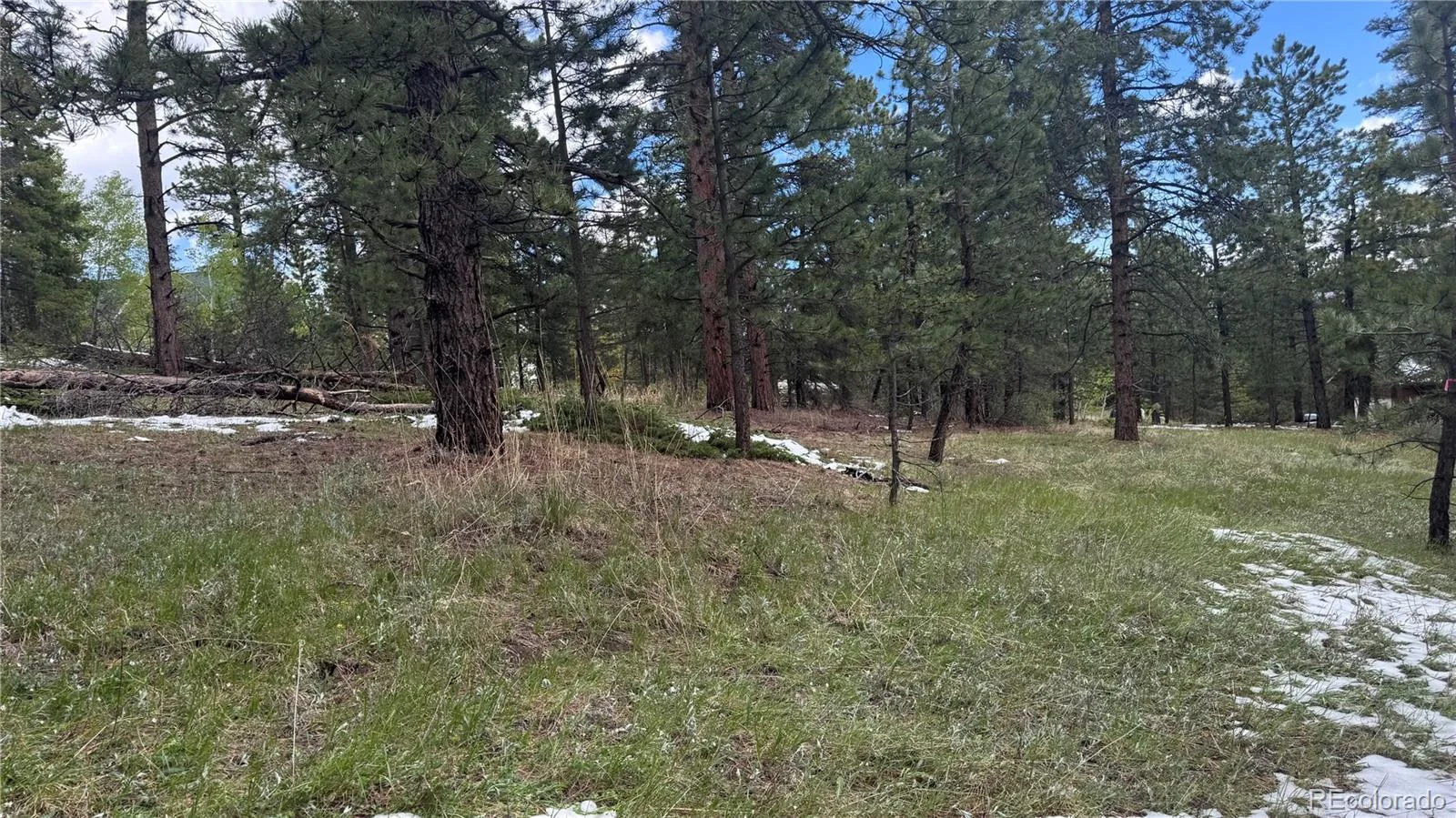717 Crescent Lake Road Golden CO 80403 | MLS #REC2393807 06032026221712 1600 11