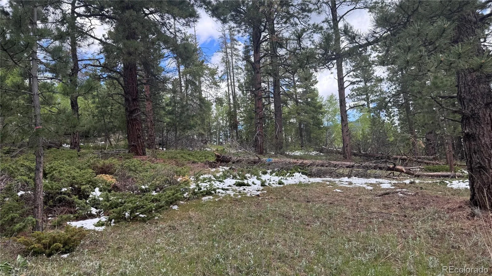 717 Crescent Lake Road Golden CO 80403 | MLS #REC2393807 06032026221712 1600 12