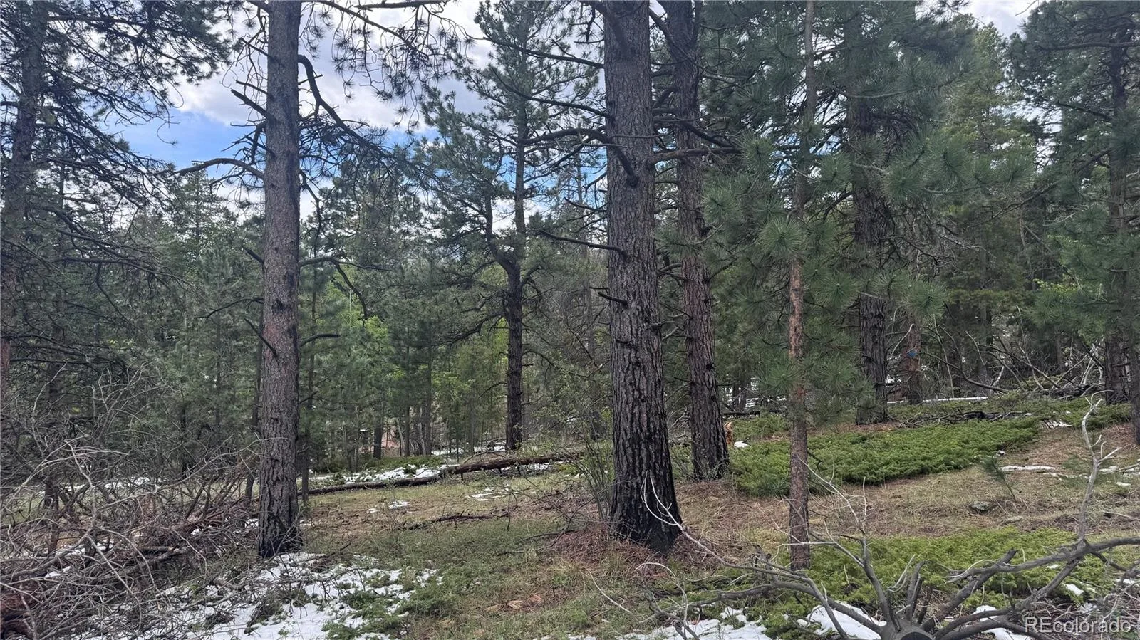 717 Crescent Lake Road Golden CO 80403 | MLS #REC2393807 06032026221712 1600 13
