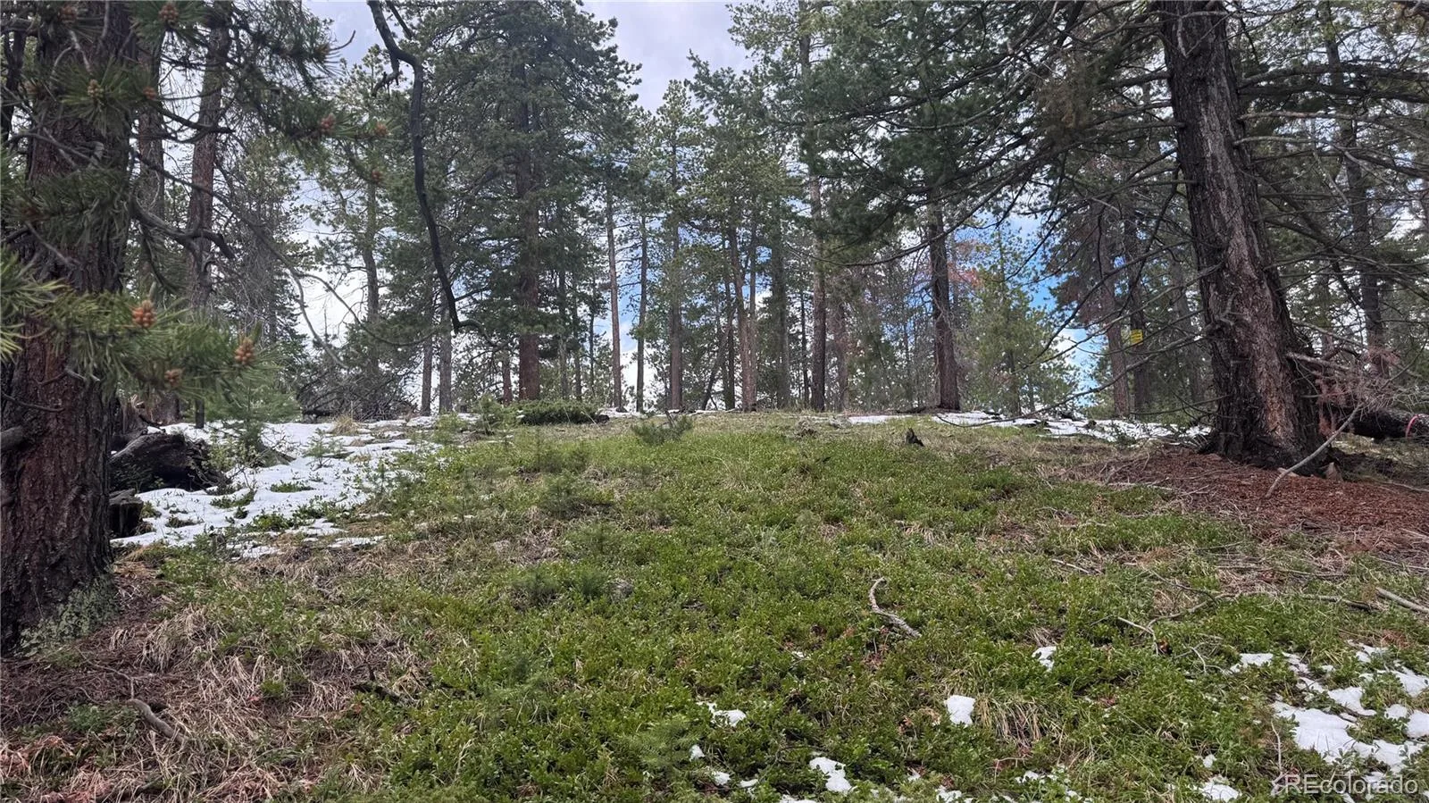 717 Crescent Lake Road Golden CO 80403 | MLS #REC2393807 06032026221712 1600 15