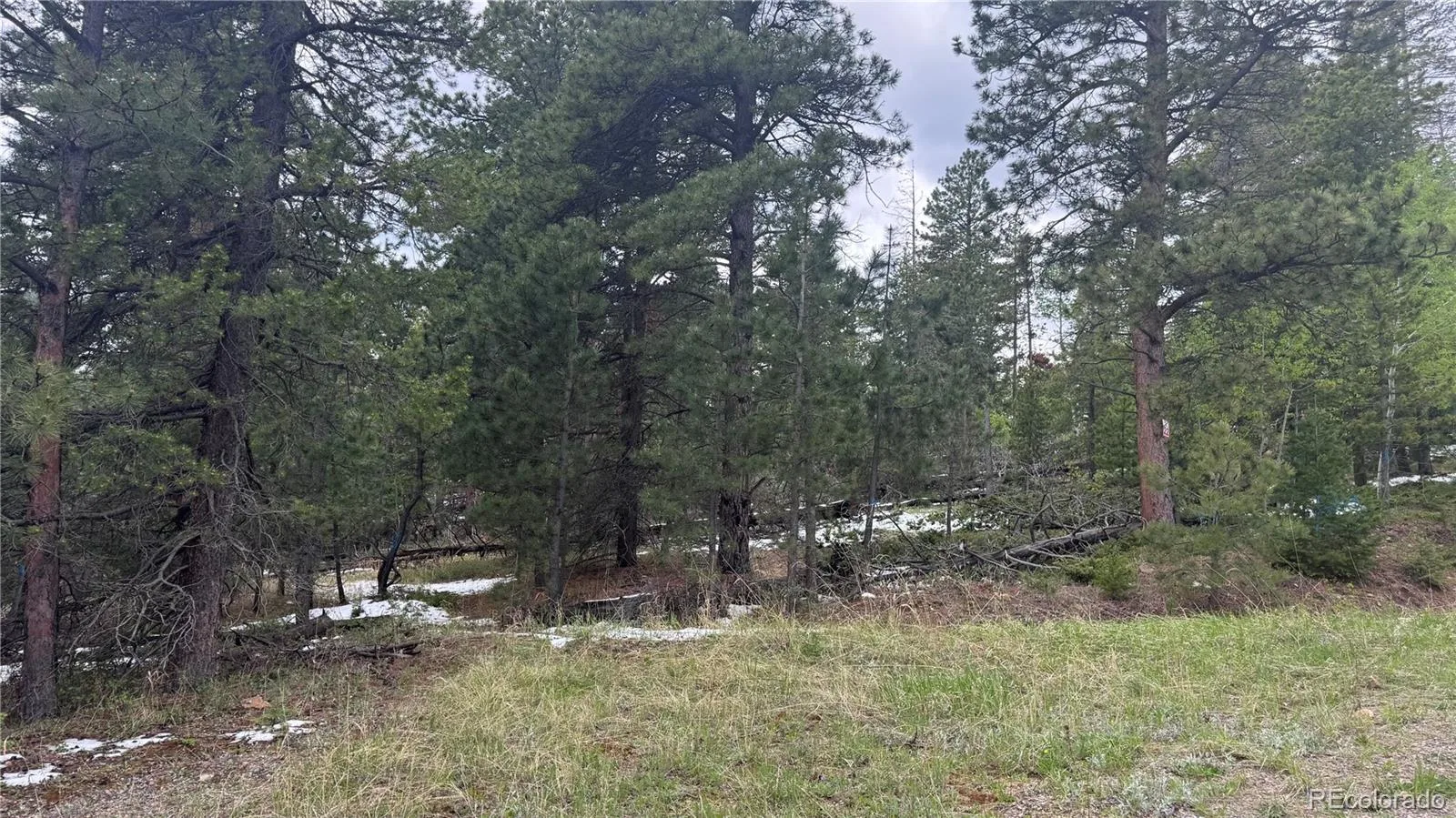 717 Crescent Lake Road Golden CO 80403 | MLS #REC2393807 06032026221712 1600 17