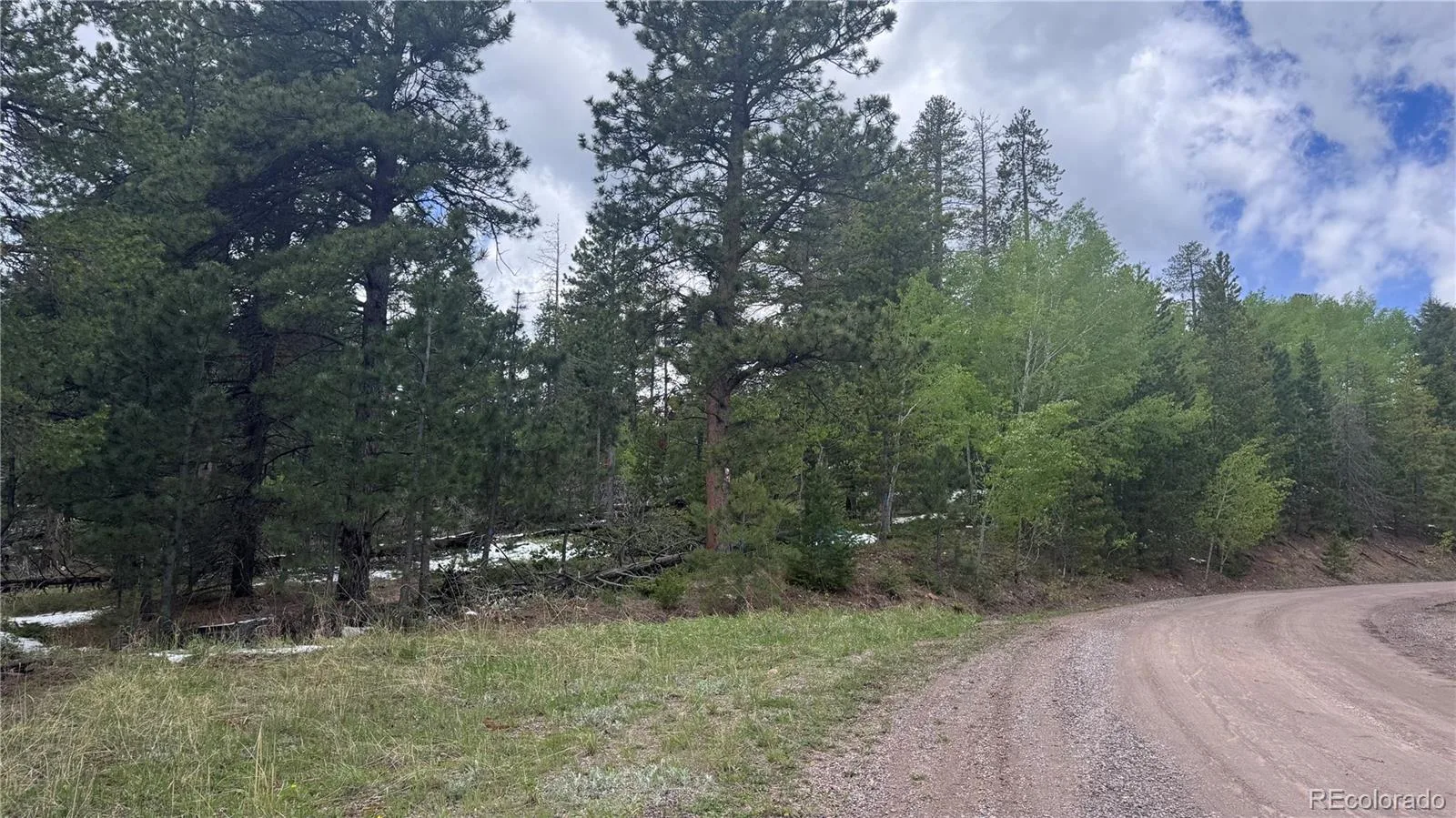 717 Crescent Lake Road Golden CO 80403 | MLS #REC2393807 06032026221712 1600 2