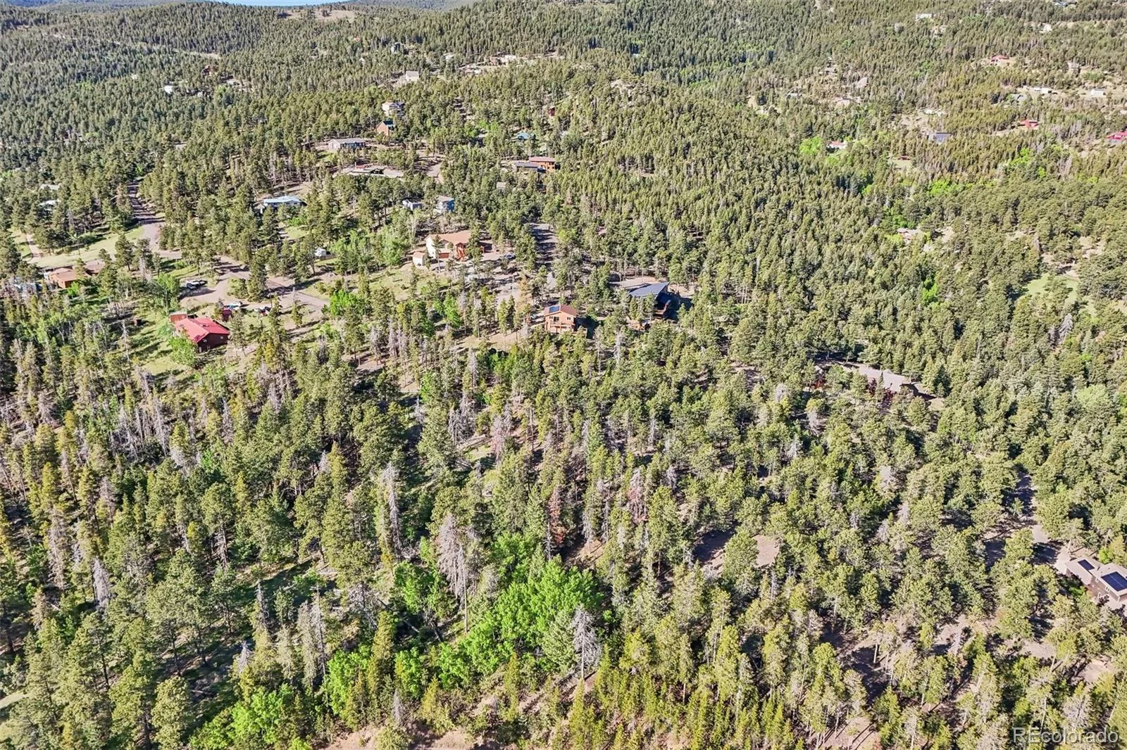 717 Crescent Lake Road Golden CO 80403 | MLS #REC2393807 06032026221712 1600 21