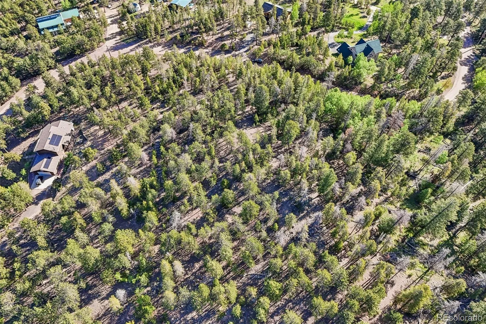 717 Crescent Lake Road Golden CO 80403 | MLS #REC2393807 06032026221712 1600 22