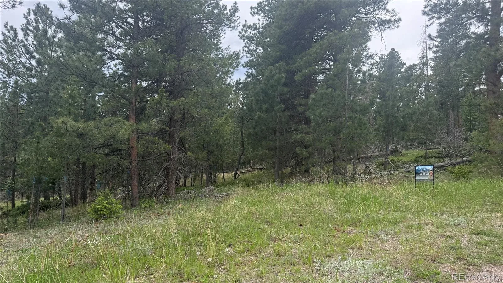 717 Crescent Lake Road Golden CO 80403 | MLS #REC2393807 06032026221712 1600 26