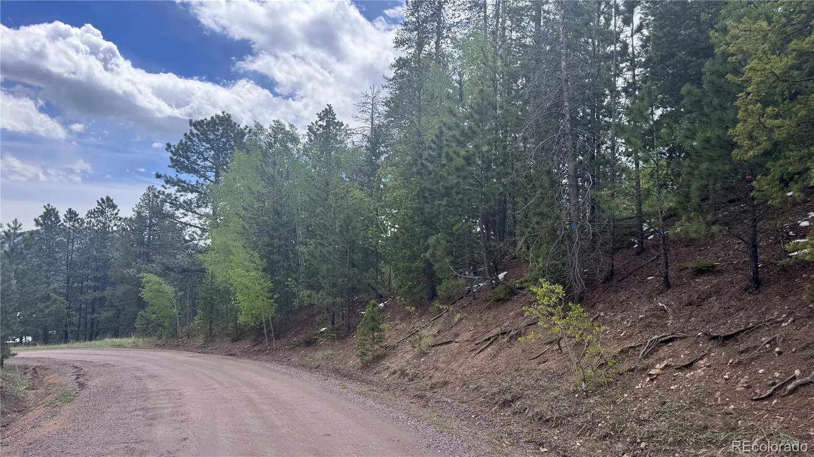 717 Crescent Lake Road Golden CO 80403 | MLS #REC2393807 06032026221712 1600 3