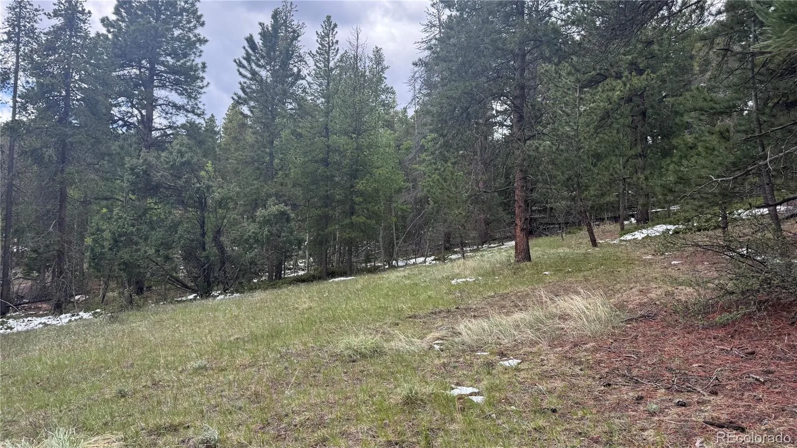717 Crescent Lake Road Golden CO 80403 | MLS #REC2393807 06032026221712 1600 4