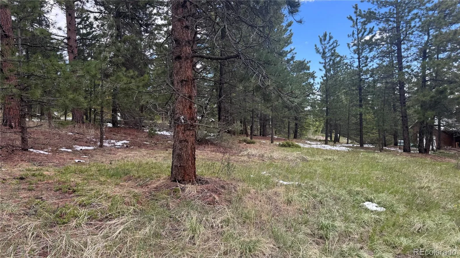 717 Crescent Lake Road Golden CO 80403 | MLS #REC2393807 06032026221712 1600 9