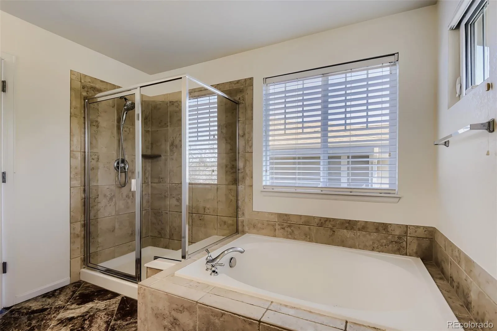 10805 Hickory Ridge Street Highlands Ranch CO 80126 | MLS #REC2399154 07242026234552 1600 22