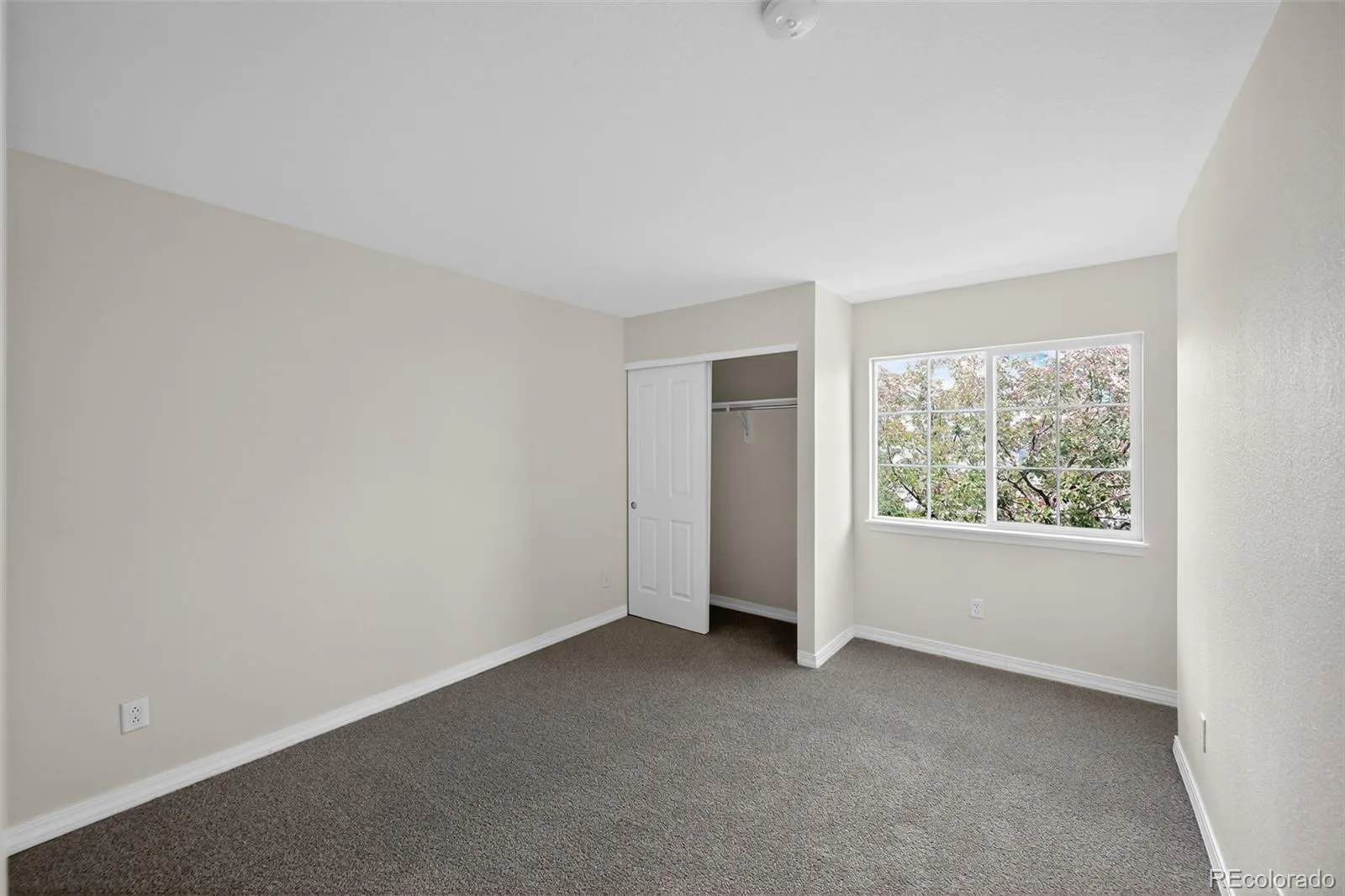 2501 Cutters Circle #102 Castle Rock CO 80108 | MLS #REC2401020 08082026003033 1600 14