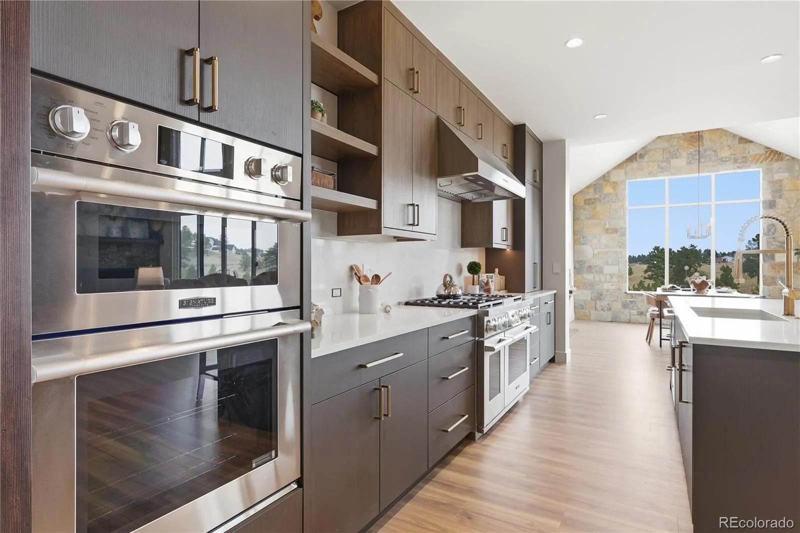 10201 Inspiration Drive Parker CO 80138 | MLS #REC2401146 08112026172931 1600 5