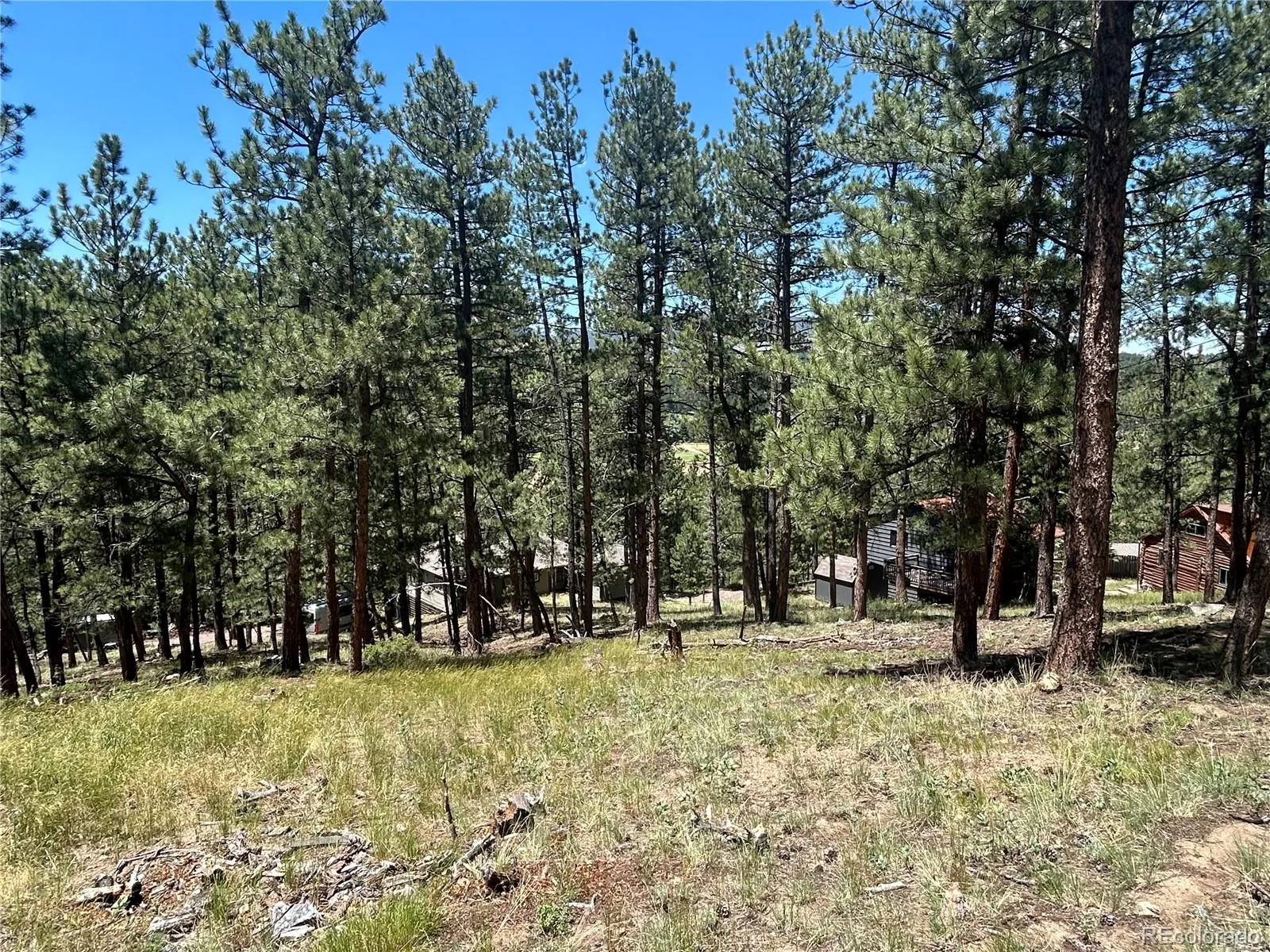 pine Pine Evergreen CO 80439 | MLS #REC2409364 06292026225745 1600 1