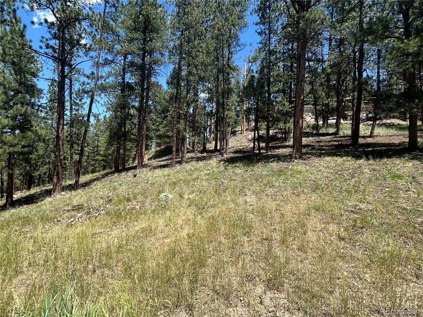 pine Pine Evergreen CO 80439 | MLS #REC2409364 06292026225745 1600 4